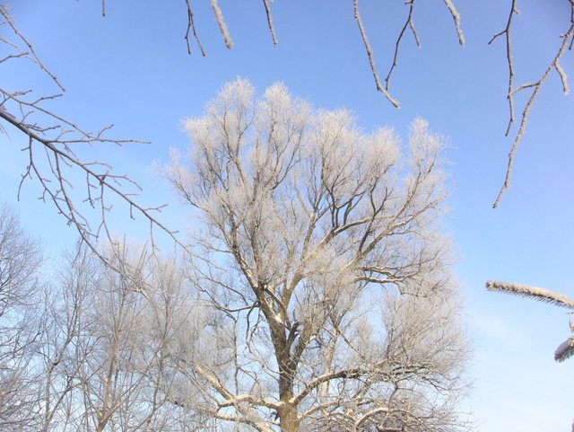 Kartuzy_grudzień 2010