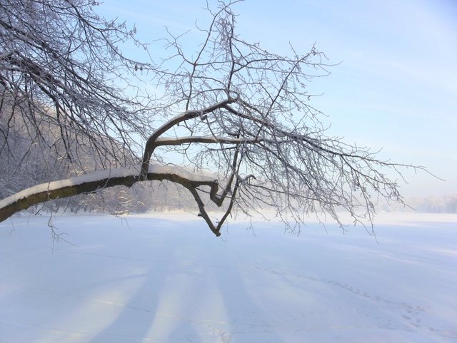 Kartuzy_grudzień 2010