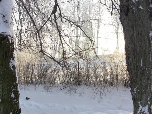 Kartuzy_grudzień 2010