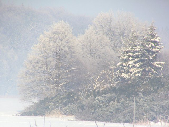 Kartuzy_grudzień 2010