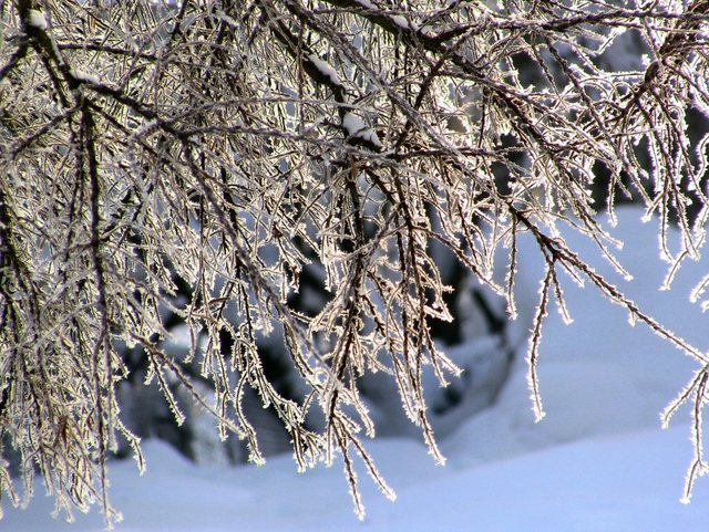 Kartuzy_grudzień 2010