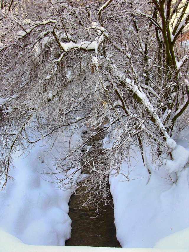 Kartuzy_grudzień 2010