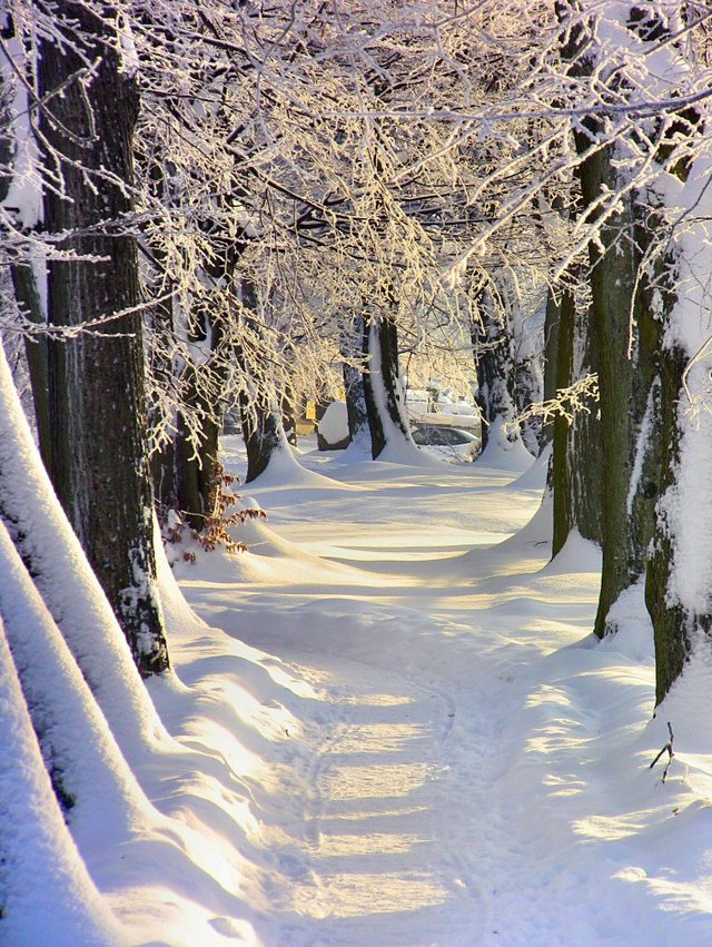 Kartuzy_grudzień 2010