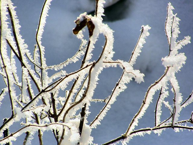 Kartuzy_grudzień 2010