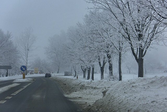 Kartuzy_grudzień 2010