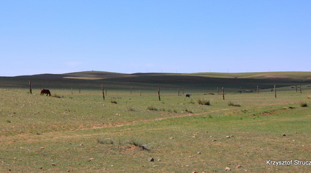 Przyroda – Chiny