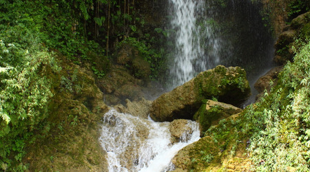 Przyroda – Chiny