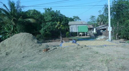 W drodze do Siem Reap – Kambodża