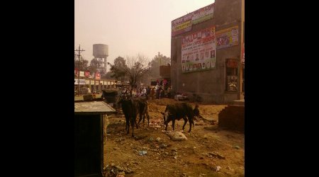 411716 - Indie Chandigarh