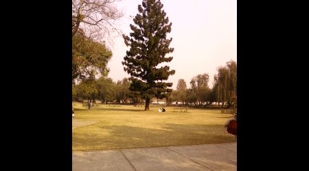 411718 - Indie Chandigarh