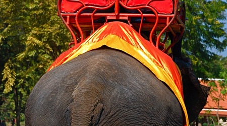 Ayutthaya – Tajlandia