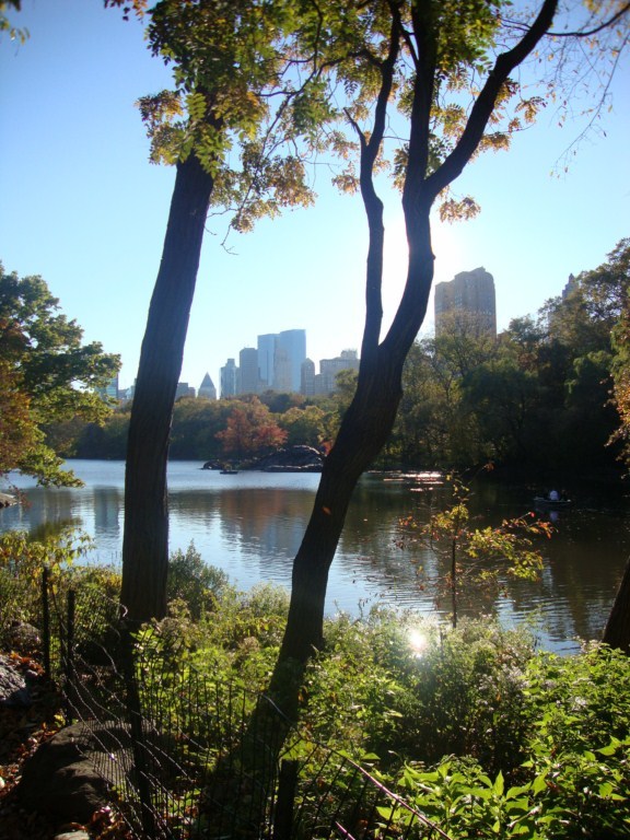 Central Park