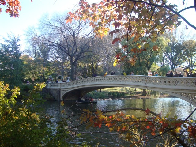Central Park