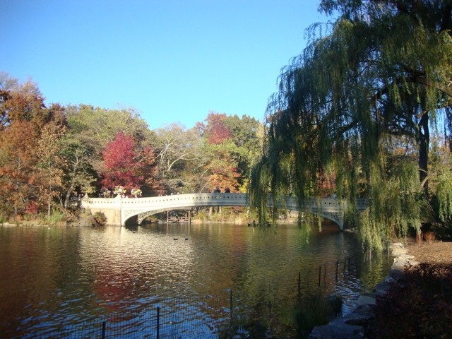 Central Park