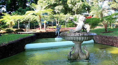 Jardim- fontanny – Funchal, Portugalia