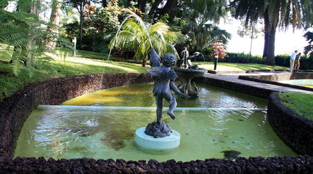 Jardim-  fontanny – Funchal, Portugalia