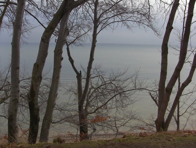 Orłowo - styczeń 2011