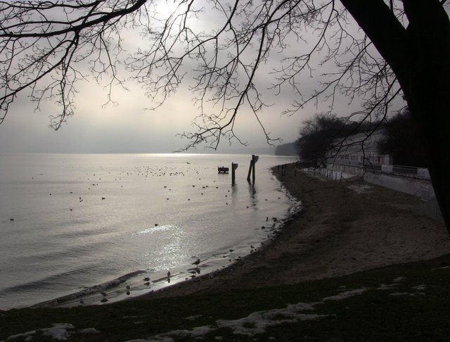 Orłowo - styczeń 2011