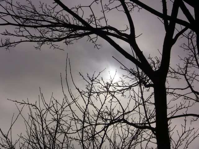 Orłowo - styczeń 2011