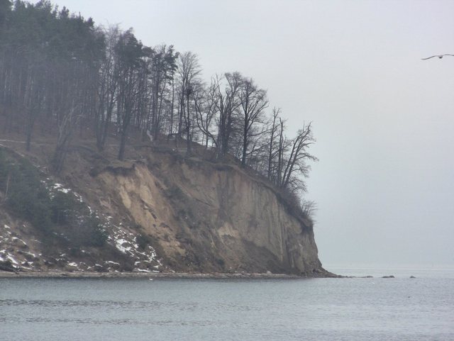 Orłowo - styczeń 2011