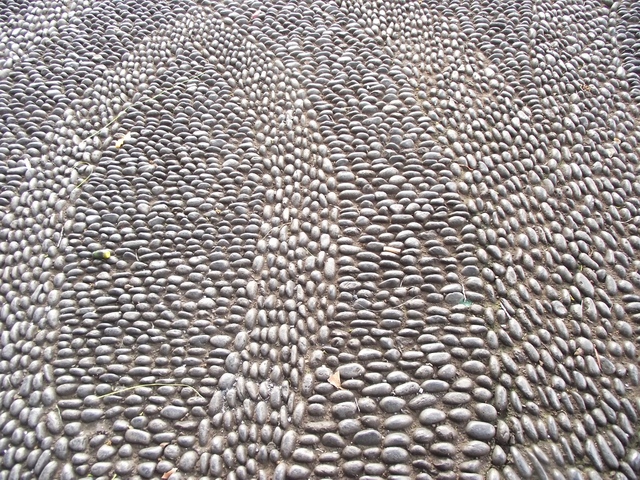 Madera   01 2011 037