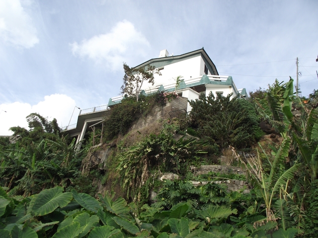 Madera   01 2011 026