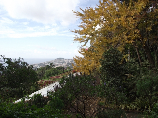 Madera   01 2011 051