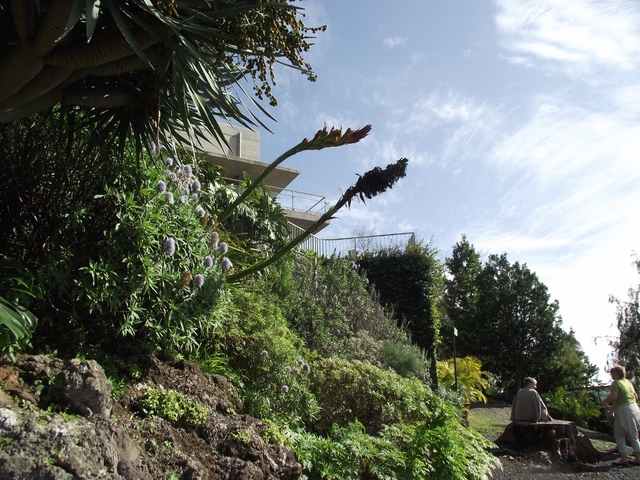 Madera   01 2011 105