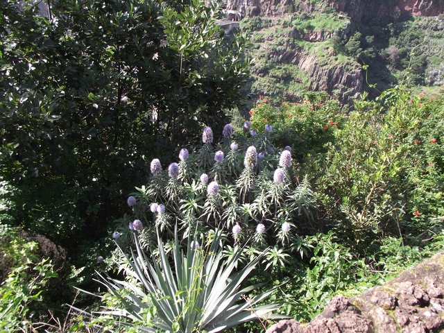 Madera   01 2011 107