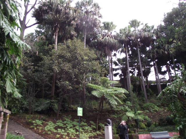 Madera   01 2011 054