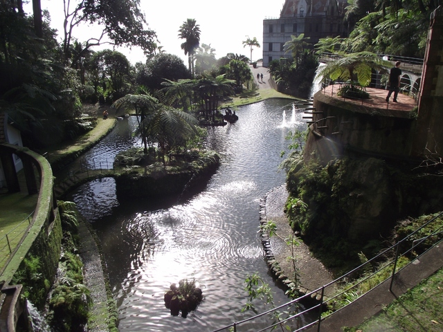 Madeira 2011 styczen 050