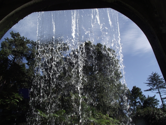 Madeira 2011 styczen 067