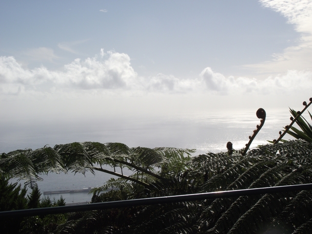 Madeira 2011 styczen 072