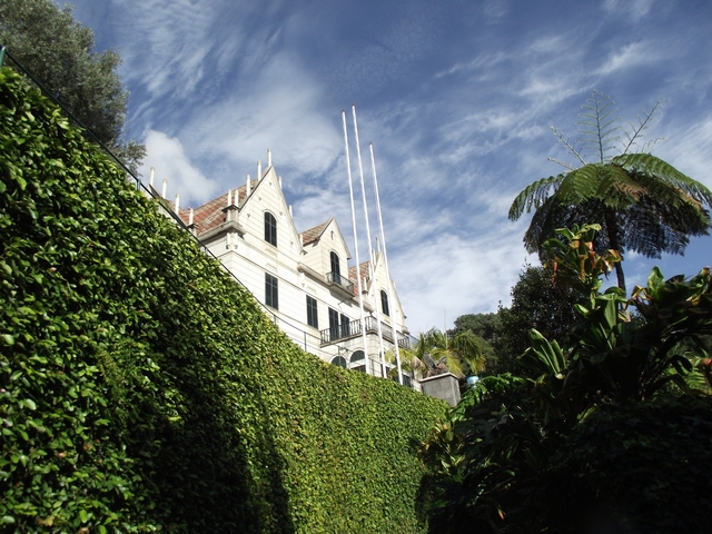 Madeira 2011 styczen 073