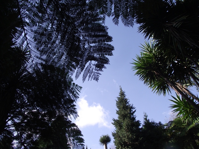 Madeira 2011 styczen 110