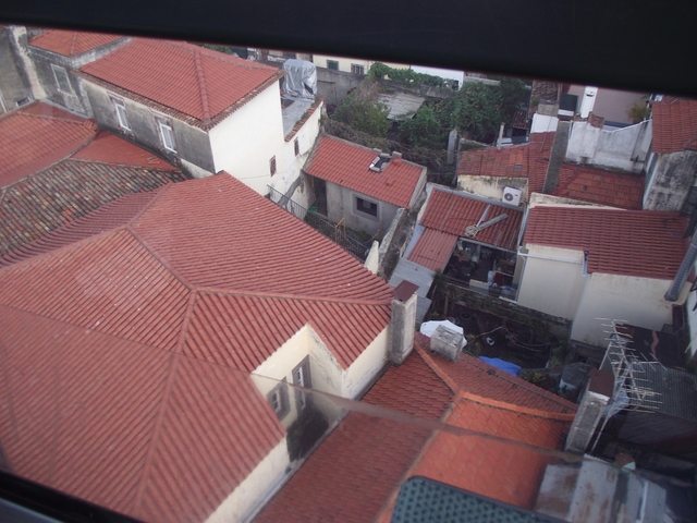 Madeira 2011 styczen 146