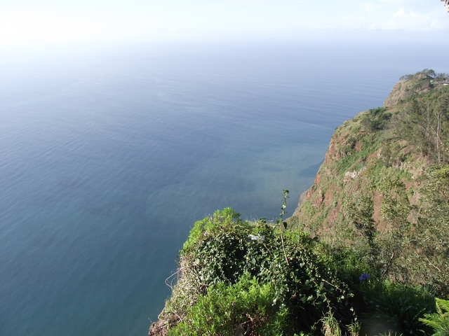 Madeira 2011 styczen 171