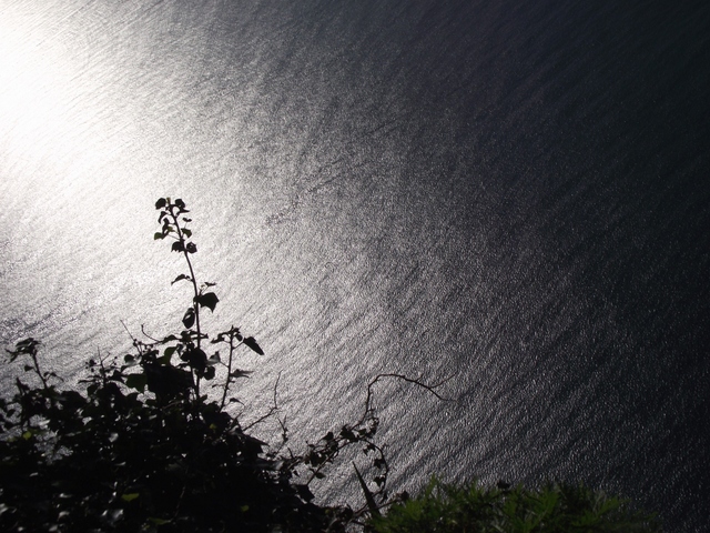 Madeira 2011 styczen 180