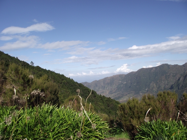 Madeira 2011 styczen 210