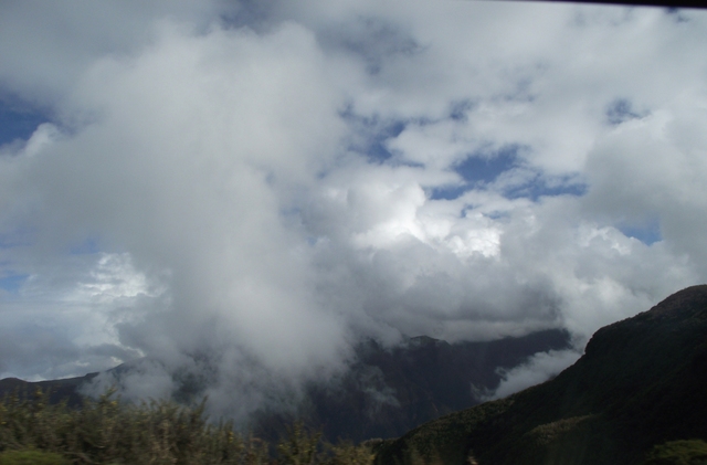 Madeira 2011 styczen 318