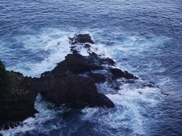 Madeira 2011 styczen 239