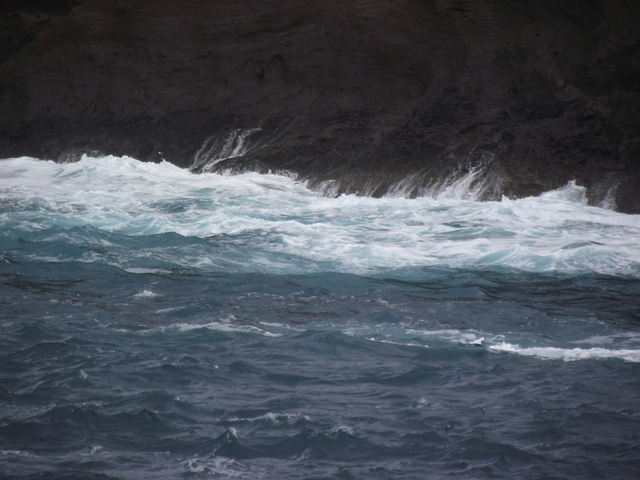 Madeira 2011 styczen 295