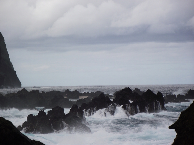 Madeira 2011 styczen 298