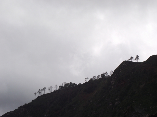 Madeira 2011 styczen 301