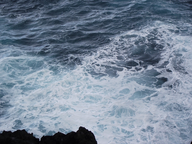 Madeira 2011 styczen 309