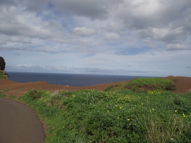 Madeira 2011 styczen 396