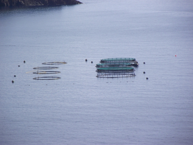 Madeira 2011 styczen 421