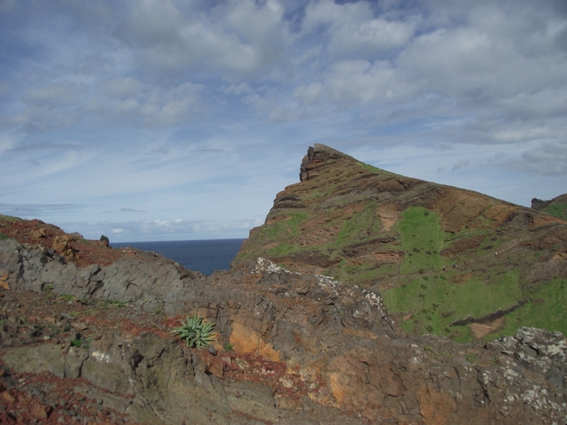 Madeira 2011 styczen 425