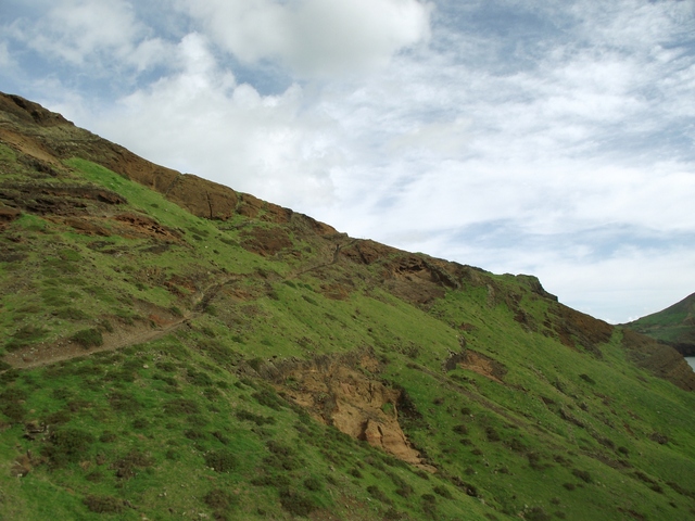 Madeira 2011 styczen 428