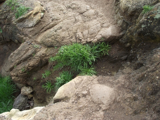 Madeira 2011 styczen 444